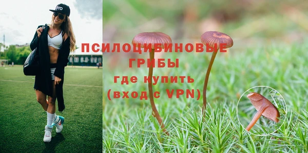 метамфетамин Киреевск