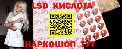 гашик Бийск