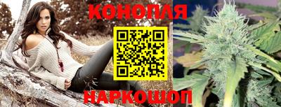 ГАЛЛЮЦИНОГЕННЫЕ ГРИБЫ Беслан