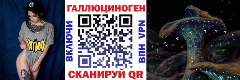 Псилоцибиновые грибы мицелий  гидра маркетплейс  Черкесск 