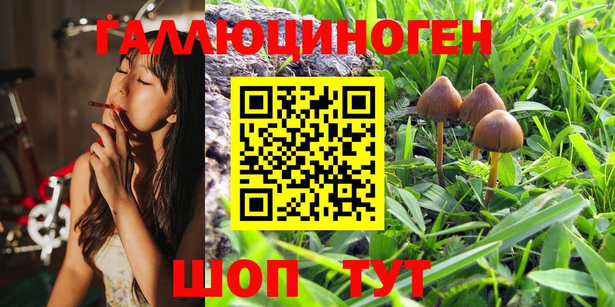 Псилоцибиновые грибы мицелий Черкесск