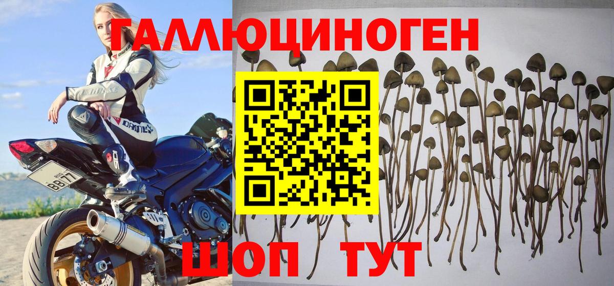 Гашиш Черкесск