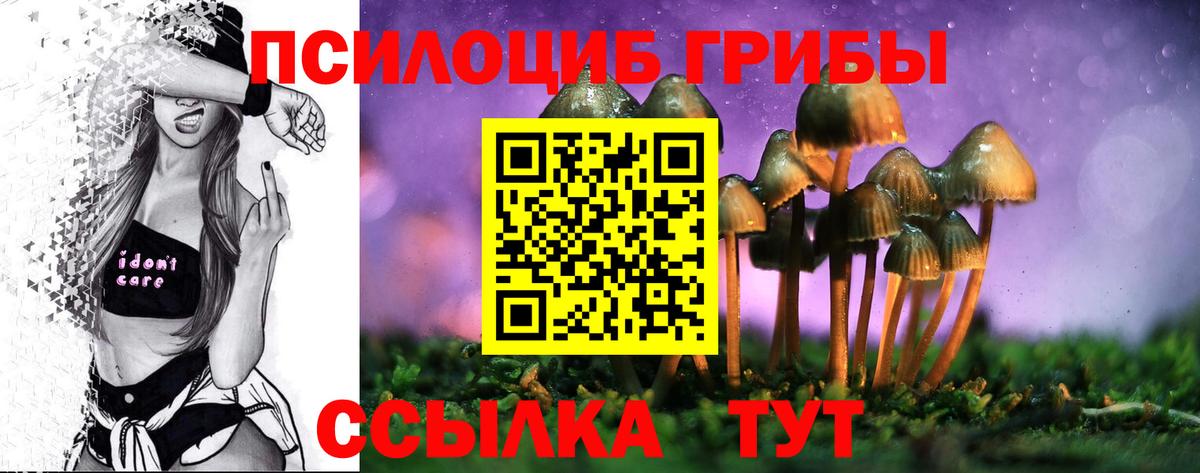 дарнет шоп  Вход с VPN  Черкесск  Галлюциногенные грибы Magic Shrooms 