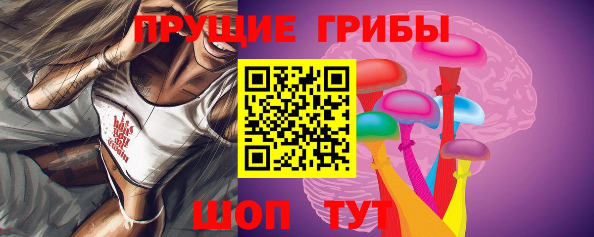 Галлюциногенные грибы GOLDEN TEACHER  как найти   Галлюциногенные грибы ЛСД  Черкесск 